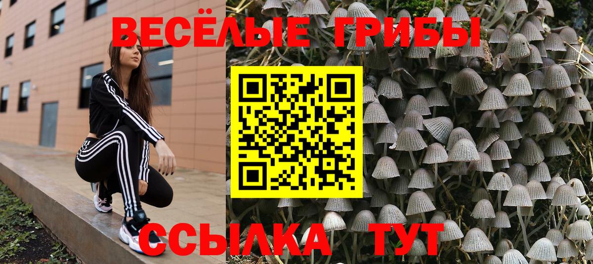 Галлюциногенные грибы MAGIC MUSHROOMS  Вход с VPN  продажа наркотиков  Нефтекамск  Псилоцибиновые грибы мицелий 